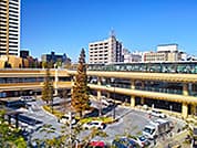 市川駅徒歩15分以内 写真