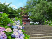 松戸市新築戸建 写真