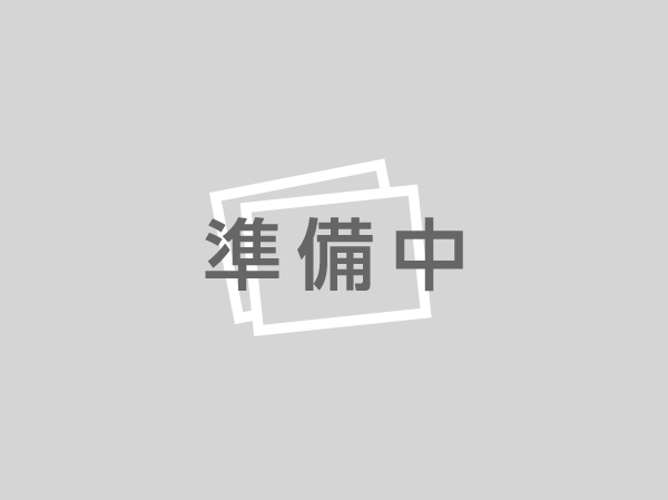 江戸川区松本 新築一戸建て