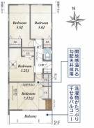 松戸市常盤平６丁目