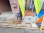 現地外観写真
