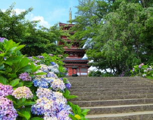 松戸市新築戸建／イメージ